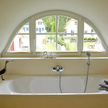 Sterntaucher Comfortable * Glowe