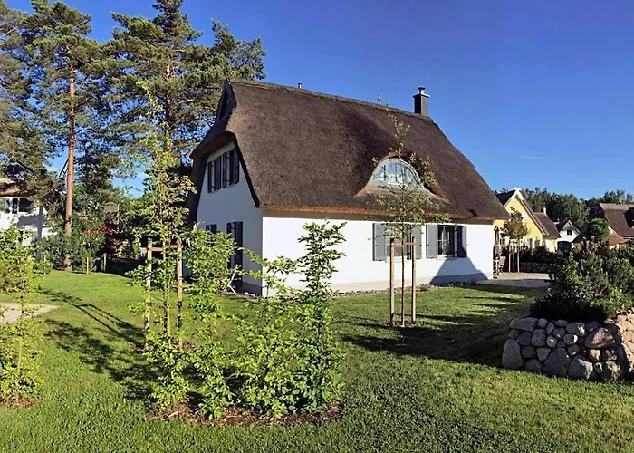 Sterntaucher Comfortable * גלווה