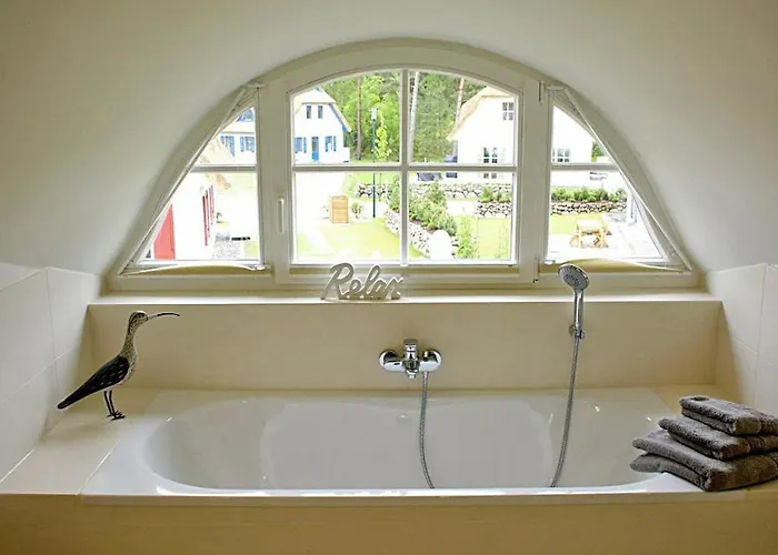 Sterntaucher Comfortable * גלווה